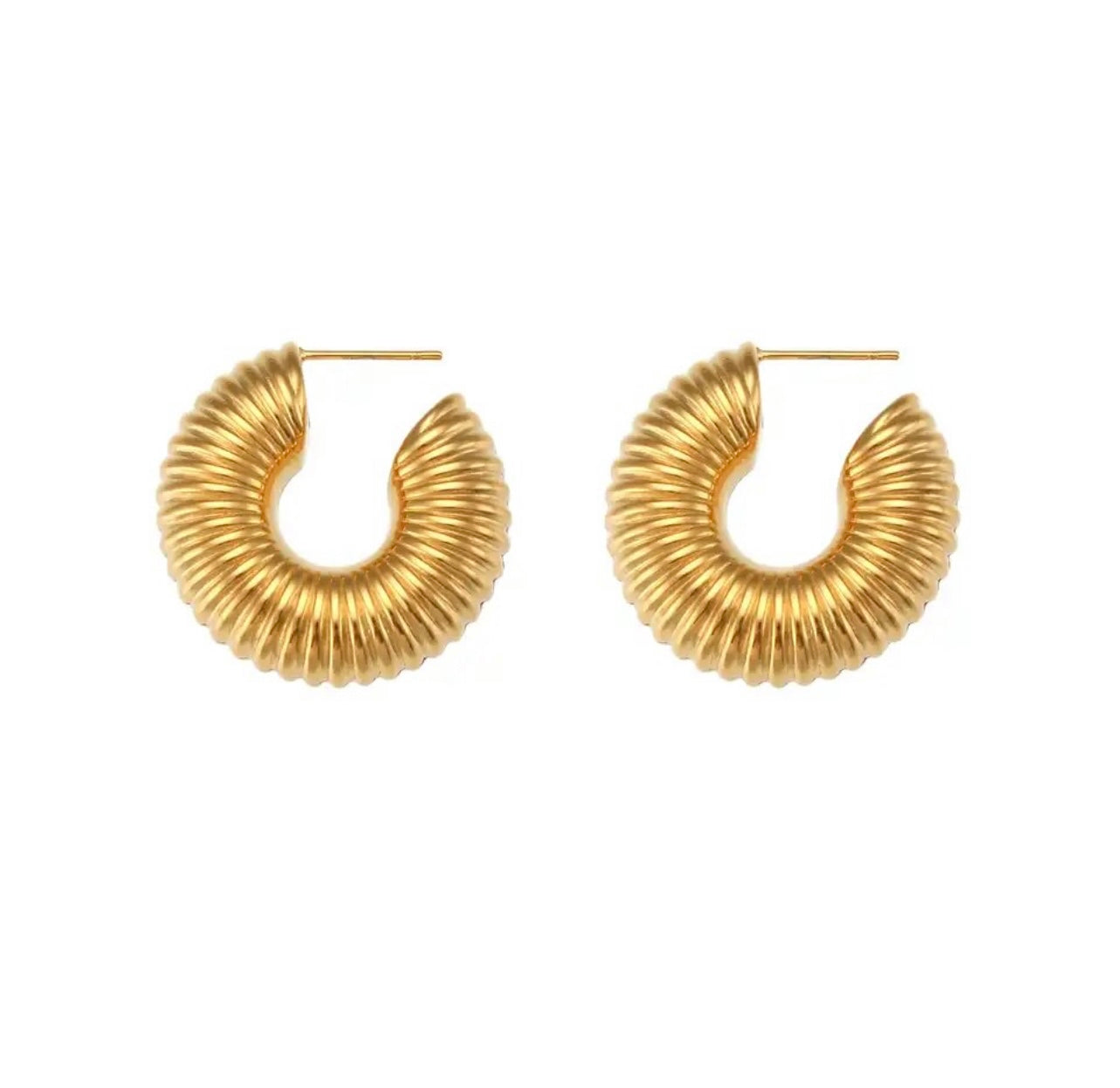 Hoops Earrings